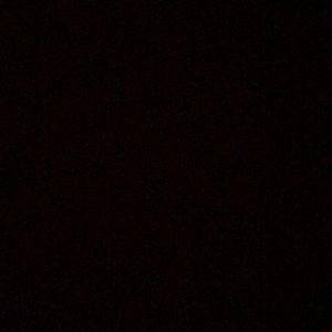 Meet your Posher, Kyler